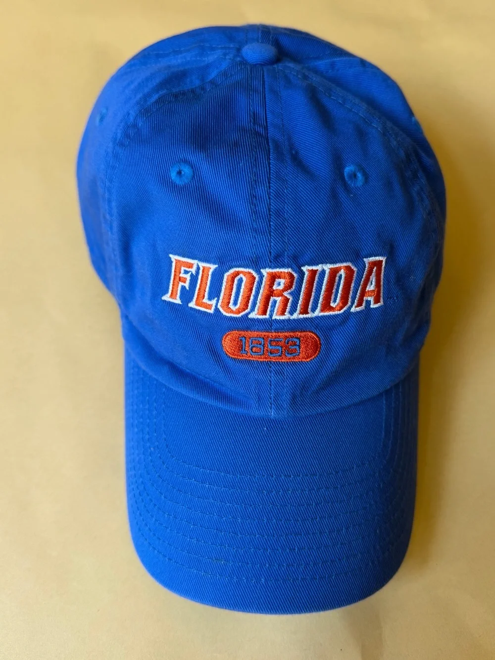 Florida Gators Jordan Brand Blue Snapback Hat 1853 Embroidered Cap